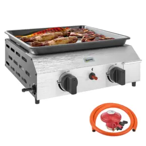 Best Two Burner Portable Gas Grill