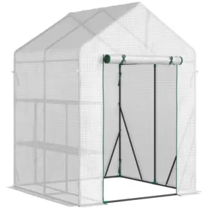 Best Walk In Greenhouse with 2 Tier Shelf, Portable Gardening Plant Grow House with Roll up Zip Panel Door, Reinforced PE Cover, 143 x 143 x 195cm, Green