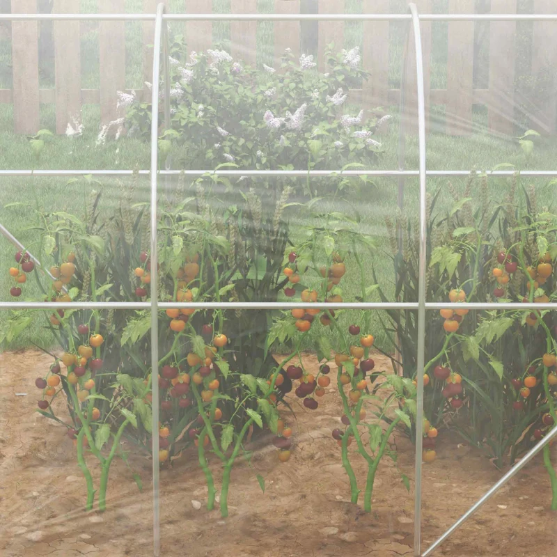 Best Polytunnel Greenhouse Walk-in Grow House with PE Cover, Door and Galvanised Steel Frame, 3 x 2 x 2m, Clear - Image 8