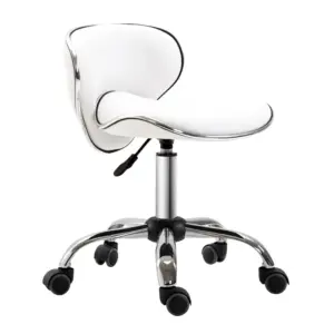 Best Adjustable Rolling Swivel Beauty Salon Chair, Stool for Spa, Technician - White
